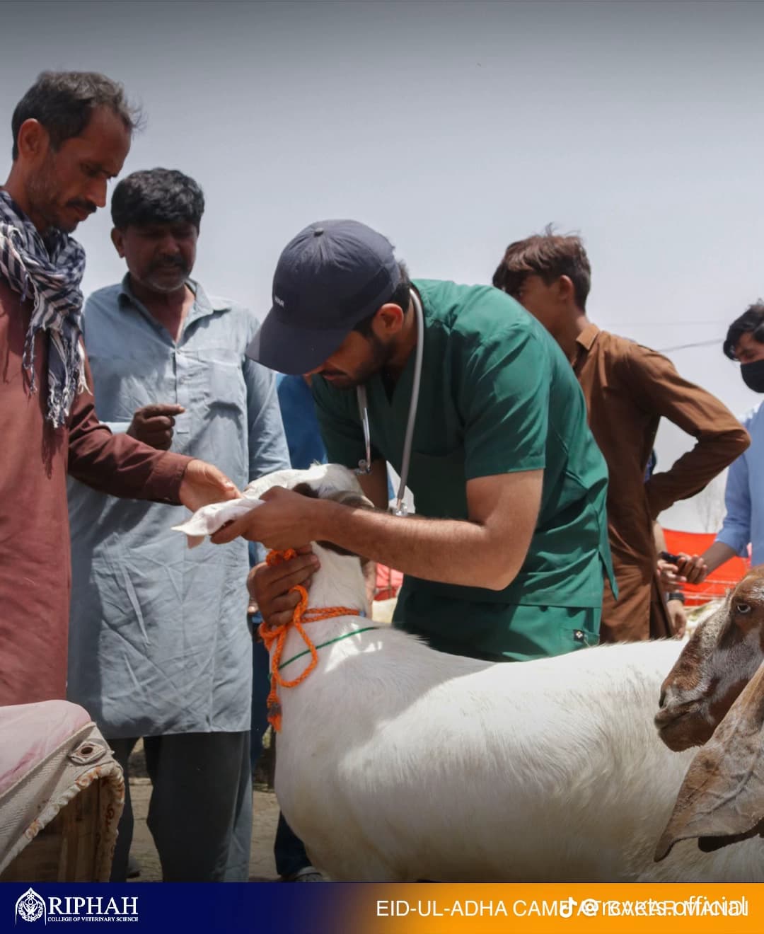 Dr. Ahmad treating a pet